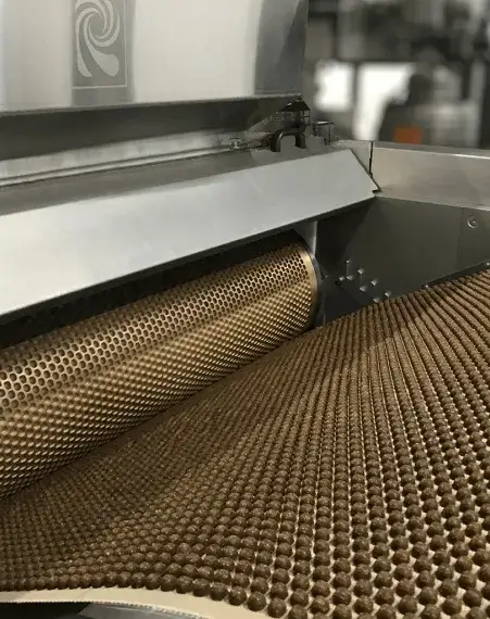 Çerez ve Cips Üretim Hatları